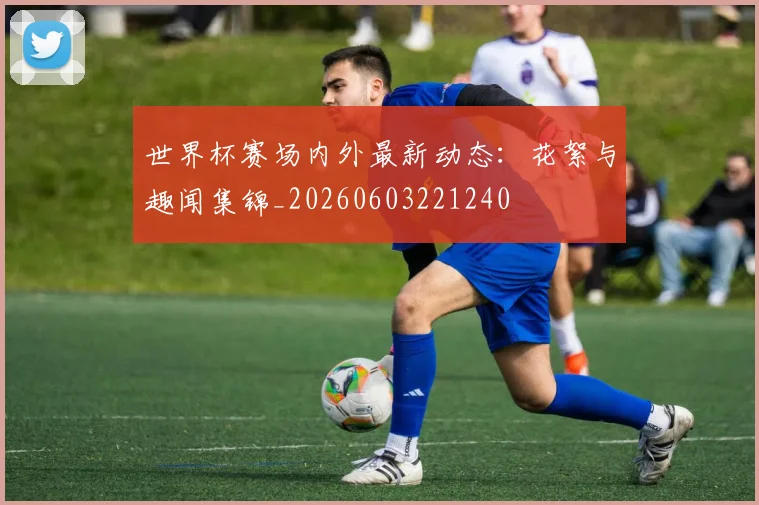 世界杯赛场内外最新动态：花絮与趣闻集锦_20260603221240